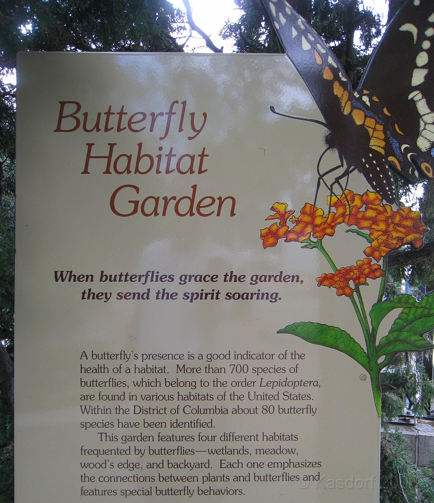 Wash DC 2009 3126.jpg - A 4th of July trip to Washington DC in 2009 to see the museums, memorials and fireworks.